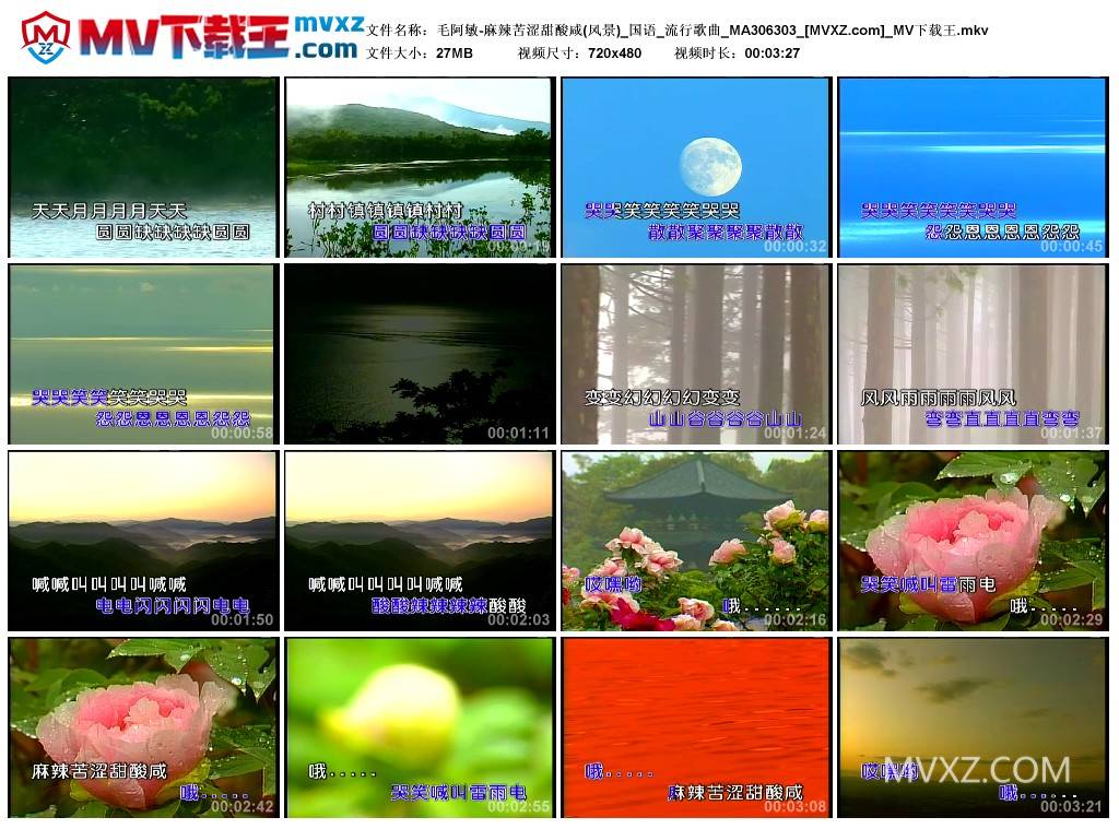 毛阿敏-麻辣苦涩甜酸咸(风景)_国语_流行歌曲_MA306303